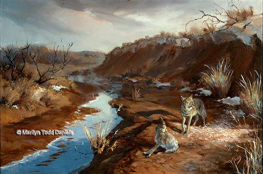 'Coyotes' by Todd-Daniels | Woodsong Institute